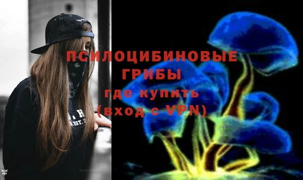 бошки Верея