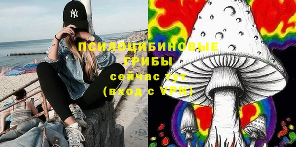 синтетический гашиш Белокуриха