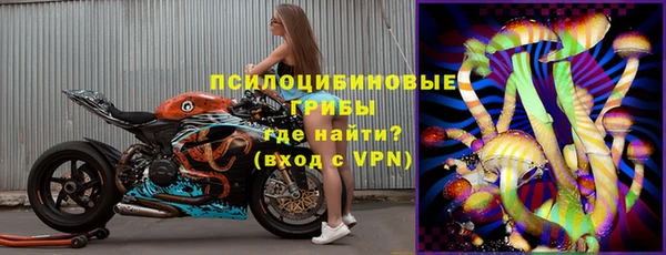 мдпв Богородицк