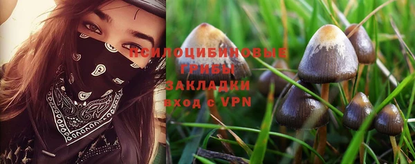 мдпв Богородицк