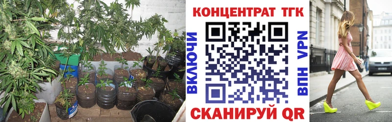 хочу наркоту Кимры ТГК вейп